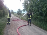 FFW-Dienst