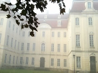 Nebel im August