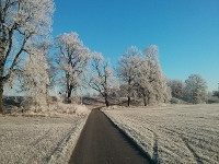 Winter an der Elbe