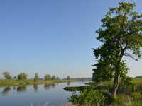 Elbe bei Martinskirchen