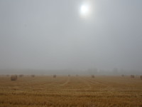 Nebel im Juli