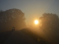 Nebel an der Elbe