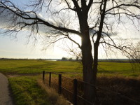 Elbe im Dezember