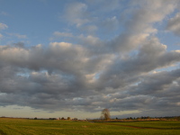 Wolkenhimmel im Oktober