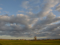 Wolkenhimmel im Oktober