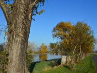 Herbst an der Elbe