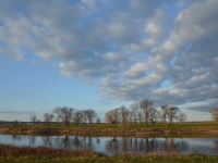 Meine Elbe.