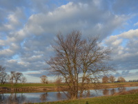 Elbe im Januar