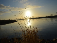 Sonnenuntergang an der Elbe