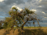 Wolkenhimmel