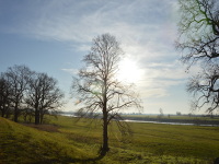 Wolkenspielerei