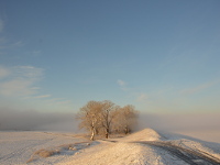 Ein wundervoller eisiger Wintertag