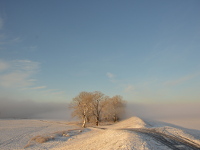 Ein wundervoller eisiger Wintertag