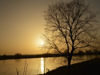 Sonnenuntergang an der Elbe