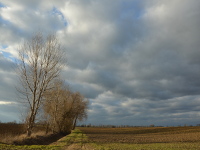 Wolkenspielerei