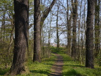 Blick auf Martinskirchen