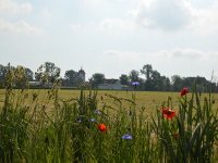 Blick auf die Kirche in Martinskirchen