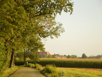 Blick auf Martinskirchen