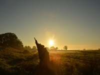 Sonnenauf- und Sonnenuntergänge