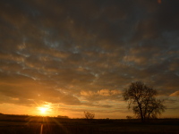 Sonnenaufgang an der Elbe