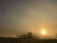 Morgens an der Elbe.