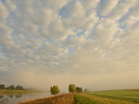 Elblandschaft im Nebel