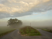 Nebel an der Elbe bei Martinskirchen