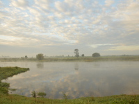 Wolkenspielung im Nebel