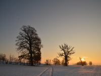 Sonnenaufgang an der Elbe mit Schnee.