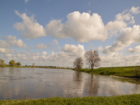 Spiegelung im Wasser