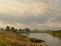 Elblandschaft im August