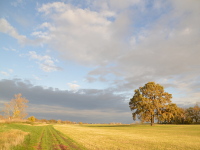 Elblandschaft