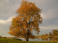 Herbstzeit