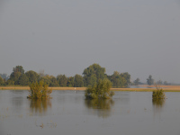 Hochwasser
