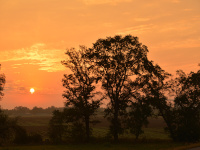 Sonnenaufgang an der Elbe