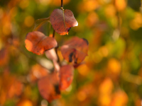 Herbstzeit