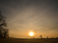 Frostiger Morgen an der Elbe!