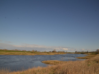 Elblandschaft im April
