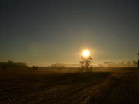 Sonne und Nebel