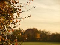 Natur färbt sich bunt
