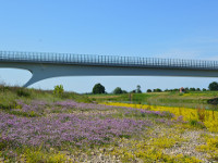 Mühlberger Brücke