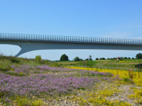 Mühlberger Brücke