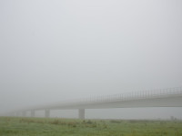 Nebel an der Mühlberger Brücke