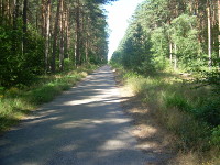 Radtour Dahlener Heide