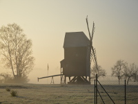 aktuelle Fotos von der Bockwindmühle in Altbelgern