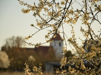 Martinskirche im Frühling