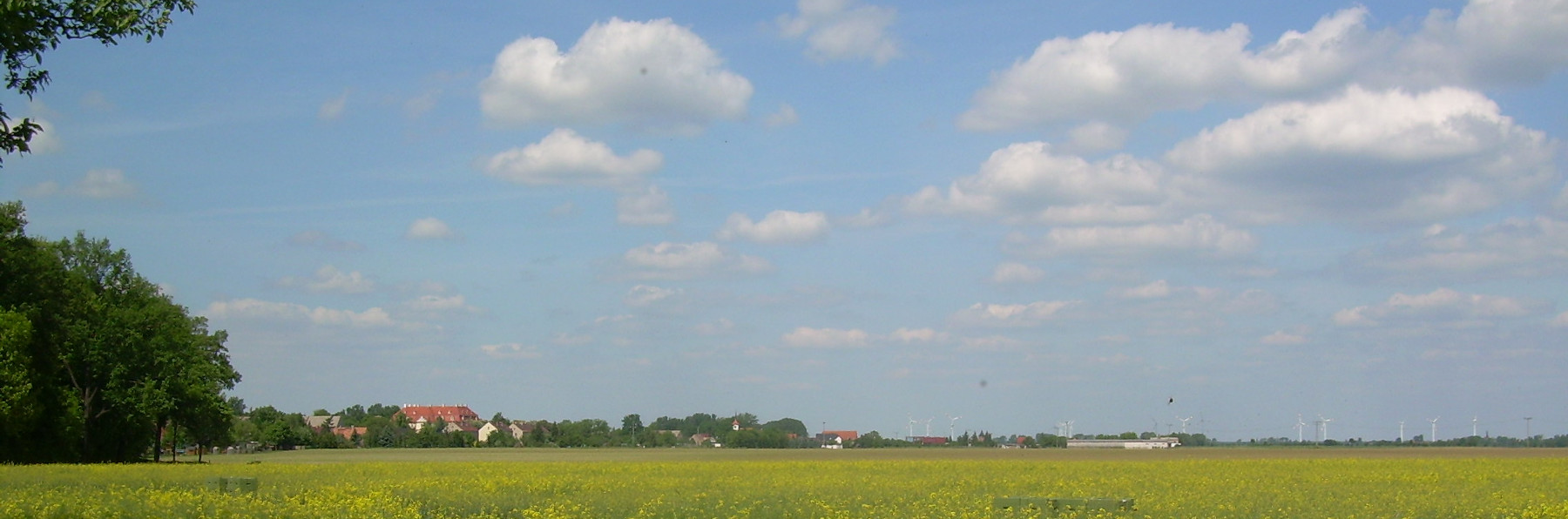 Blick auf Martinskirchen