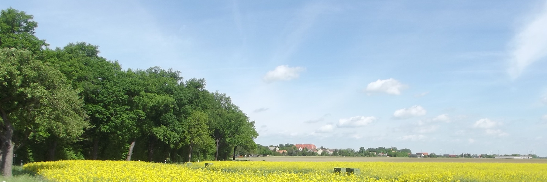 Blick auf Martinskirchen