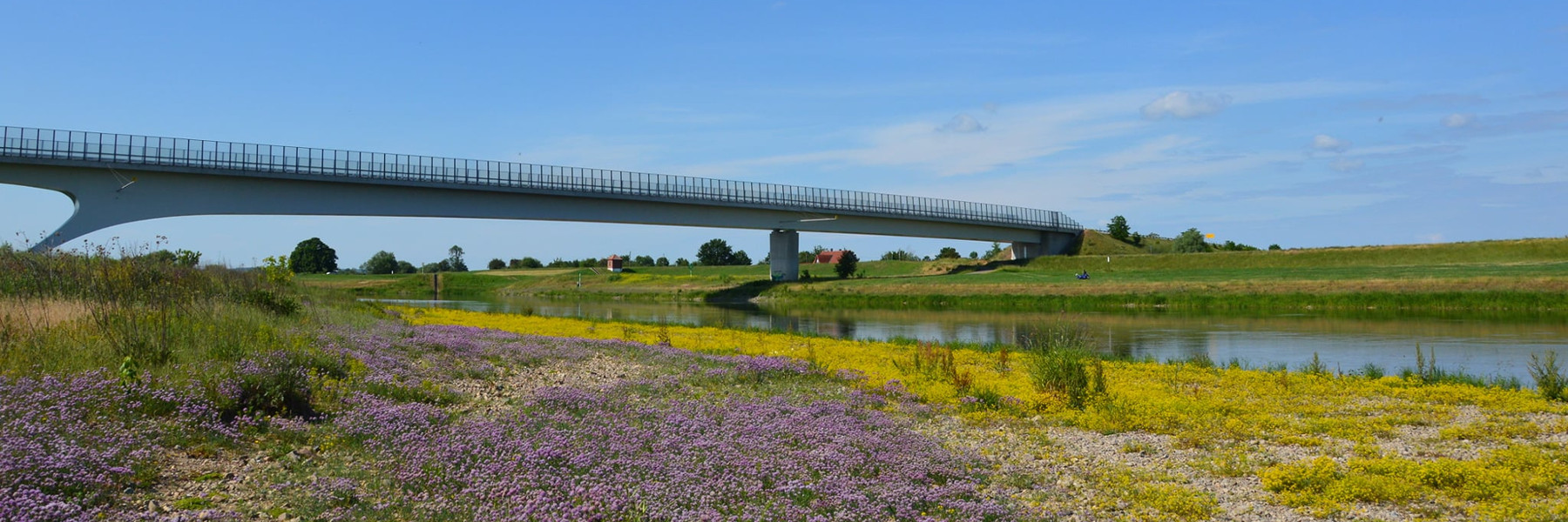 Mühlberger Brücke